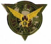 Термоаппликация Airforce 7*6.2см, LML067 - цена и фото